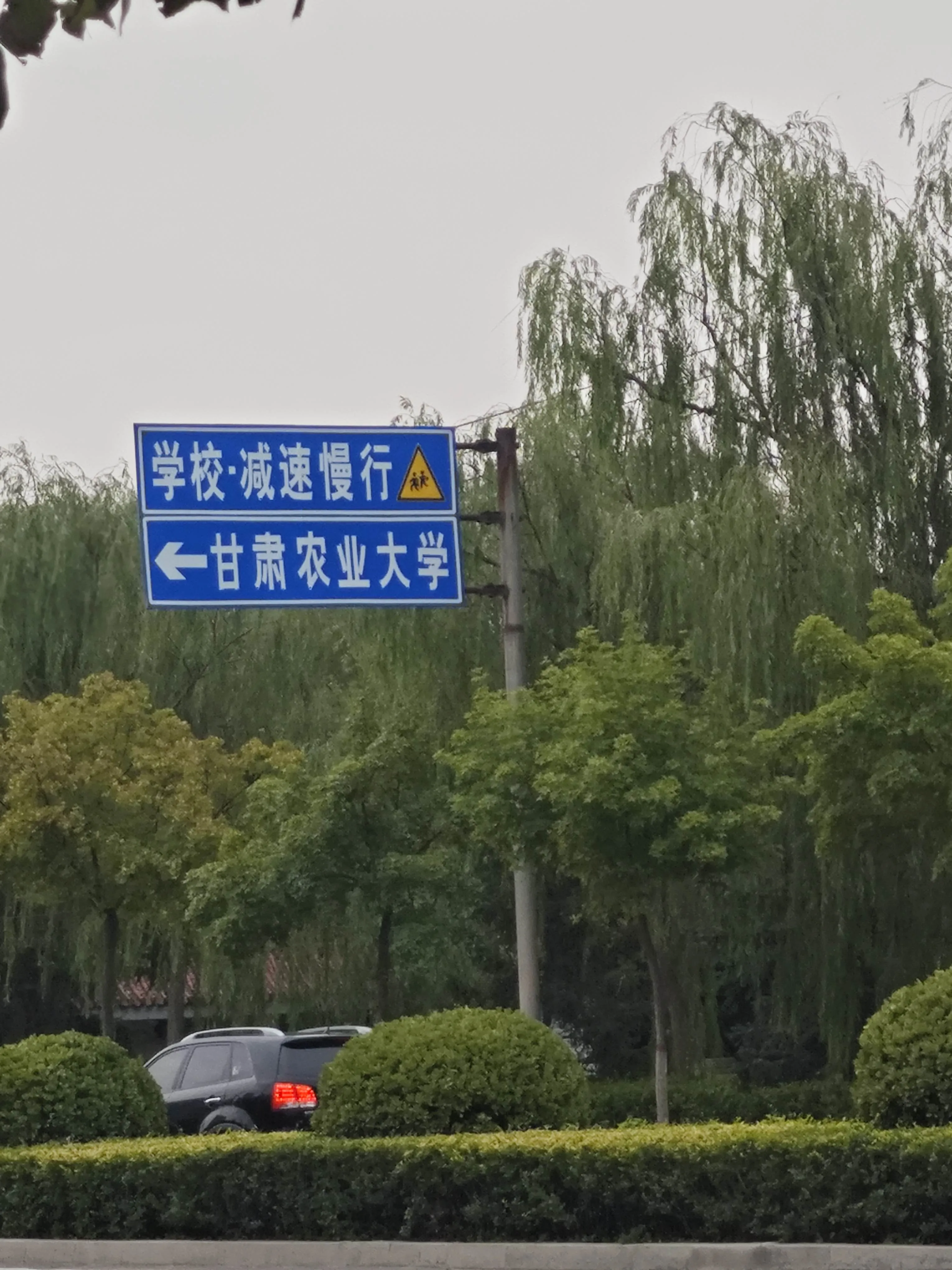随手拍的学校路牌
