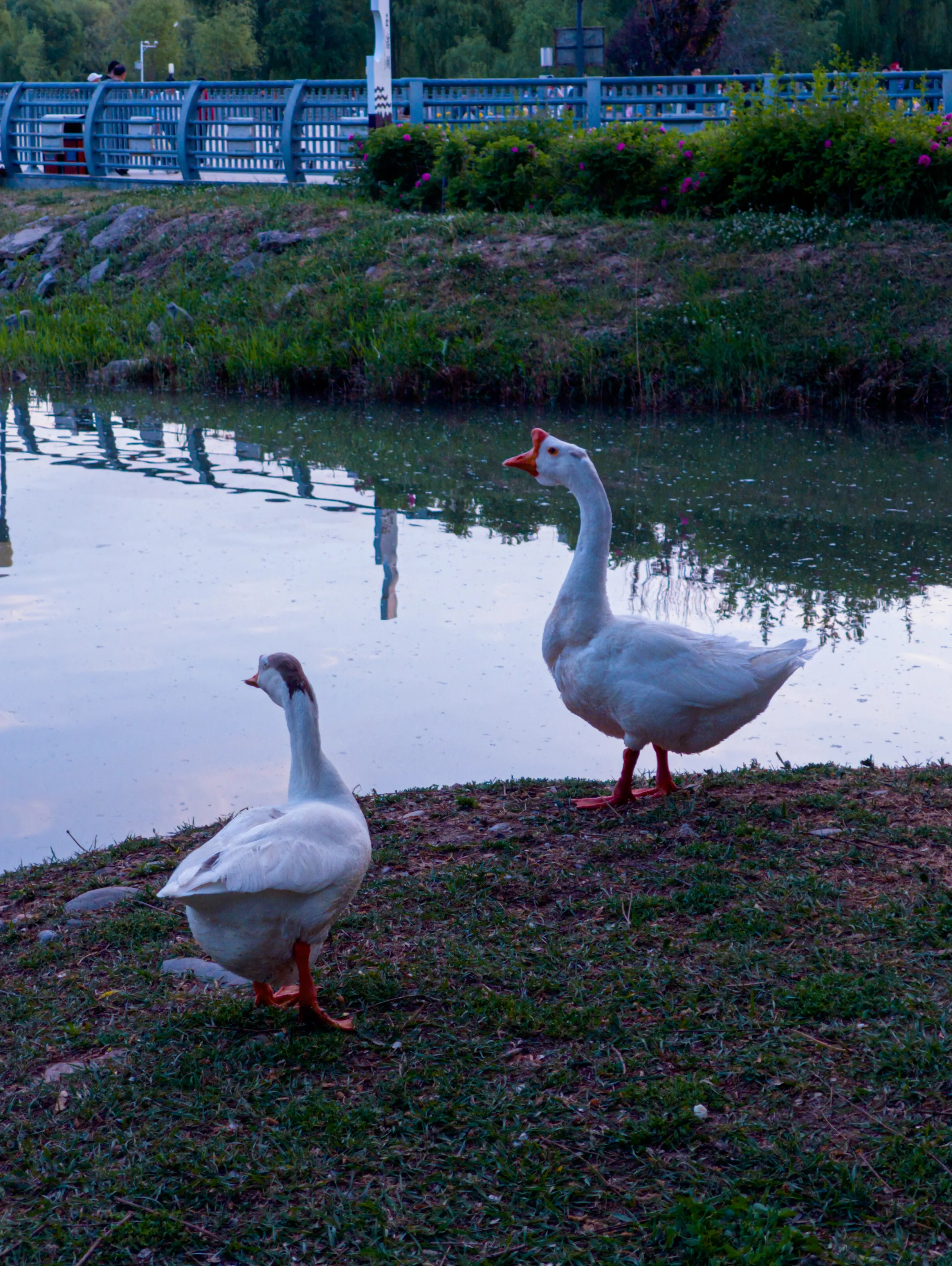 IMG_20250511_195730.webp